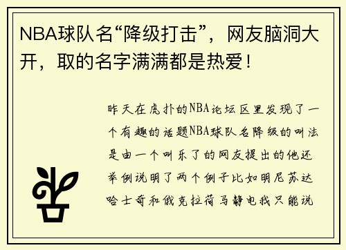 NBA球队名“降级打击”，网友脑洞大开，取的名字满满都是热爱！